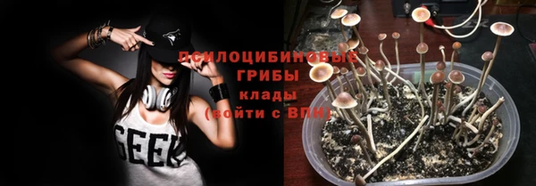 mdpv Карпинск