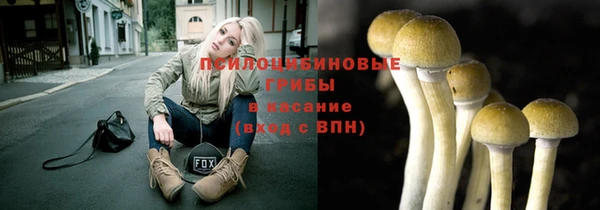 дурь Карталы
