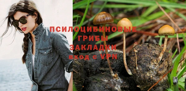 mdpv Карпинск