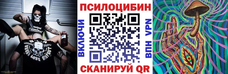 Купить закладки  Карасук  Псилоцибиновые грибы мицелий 