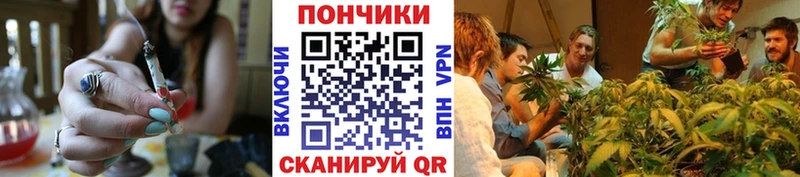 Купить где Карасук Бошки Шишки ГИДРОПОН